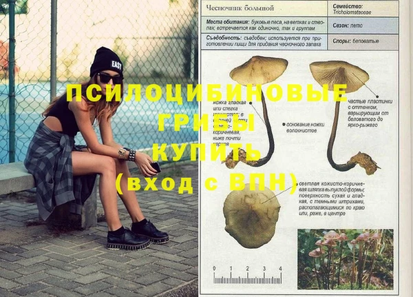 твердый Верея