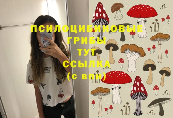 твердый Верея