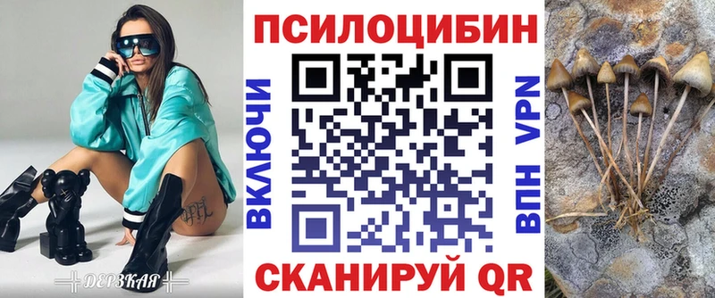 наркота  Камбарка  hydra маркетплейс  Псилоцибиновые грибы Cubensis 